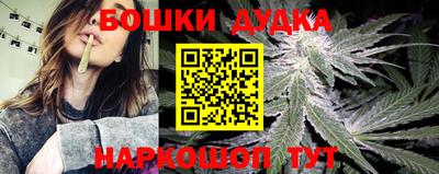 прущая мука Кингисепп