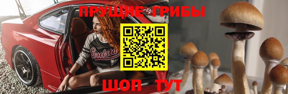 Галлюциногенные грибы Magic Shrooms  Галлюциногенные грибы ЛСД  Вход с VPN  Коломна 